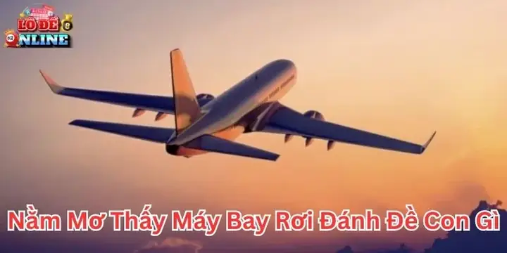 Giải Mã Giấc Mơ: Nằm Mơ Thấy Máy Bay Rơi Là Điềm Gì Và Nên Đánh Số Nào?