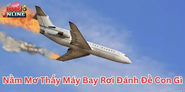 Giải Mã Giấc Mơ: Nằm Mơ Thấy Máy Bay Rơi Là Điềm Gì Và Nên Đánh Số Nào?