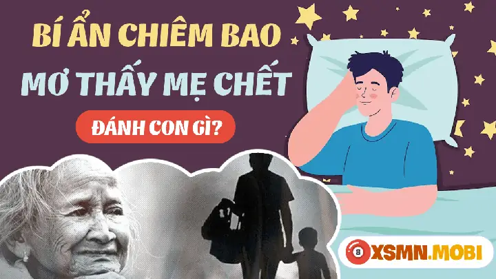 Giải Mã Giấc Mơ Thấy Mẹ Còn Sống Mà Chết: Điềm Báo Hay Nỗi Lo Tiềm Thức?
