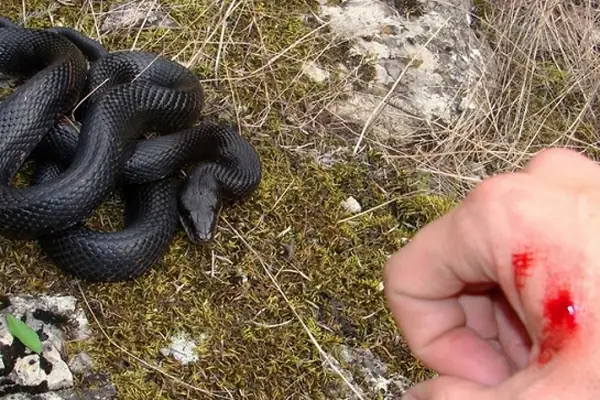 Giải Mã Giấc Mơ Thấy Mẹ Quan Âm: Bí Ẩn Tâm Linh Và Những Con Số May Mắn