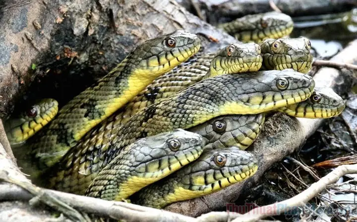 Giải Mã Giấc Mơ Thấy Mẹ Quan Âm: Bí Ẩn Tâm Linh Và Những Con Số May Mắn