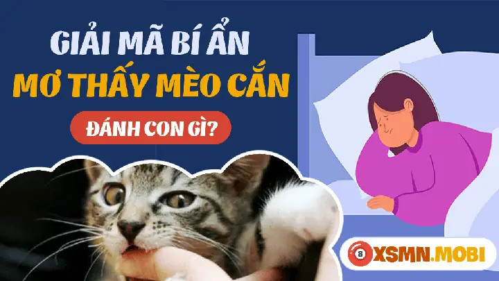 Nằm Mơ Thấy Mèo Cắn Vào Tay Đánh Con Gì?