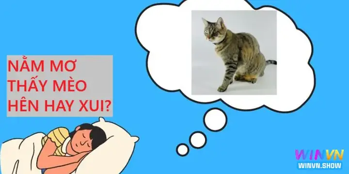 Giải Mã Ý Nghĩa Và Con Số May Mắn Khi Nằm Mơ Thấy Mèo