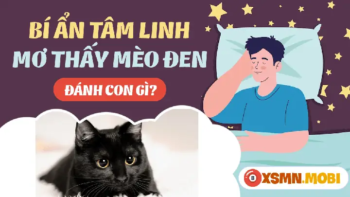 Nằm Mơ Thấy Mèo Đen Đánh Số May: Giải Mã Ý Nghĩa Và Các Con Số Chuẩn Xác Nhất