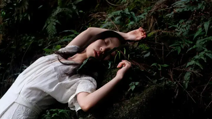 Giải Mã Giấc Mơ Thấy Mình Bị Lừa Đảo: Điềm Báo Gì Và Cách Đối Phó Hiệu Quả