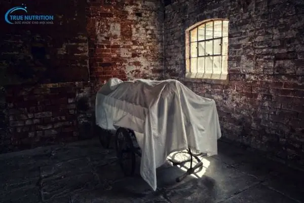 Nằm Mơ Thấy Mình Chết: Giải Mã Chi Tiết Ý Nghĩa Tâm Linh Và Con Số May Mắn