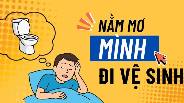 Giải Mã Chi Tiết Ý Nghĩa & Con Số May Mắn Khi Nằm Mơ Thấy Mình Đi Vệ Sinh
