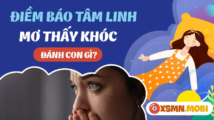 Nằm Mơ Thấy Mình Khóc Đánh De Con Gì? Giải Mã Chi Tiết Và Chính Xác Nhất