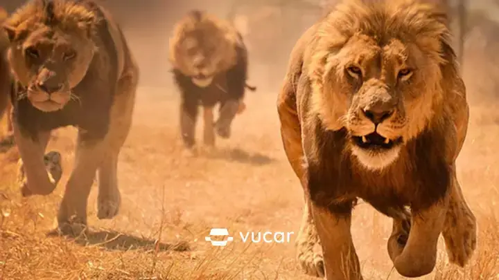 Giải Mã Giấc Mơ Thấy Xuất Gia Đi Tu: Ý Nghĩa Tâm Linh Và Những Con Số May Mắn