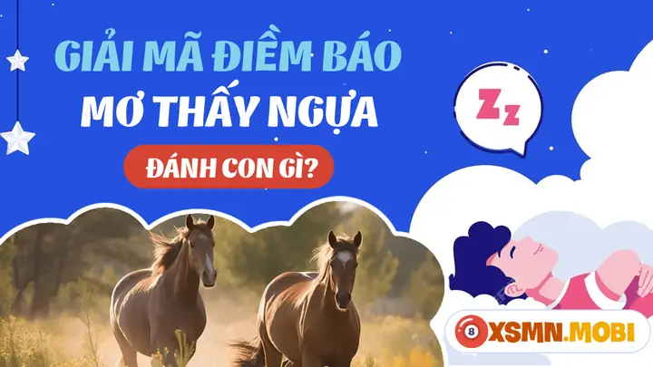 Nằm Mơ Thấy Ngựa Đánh Số Gì? Giải Mã Bí Ẩn Và Con Số May Mắn