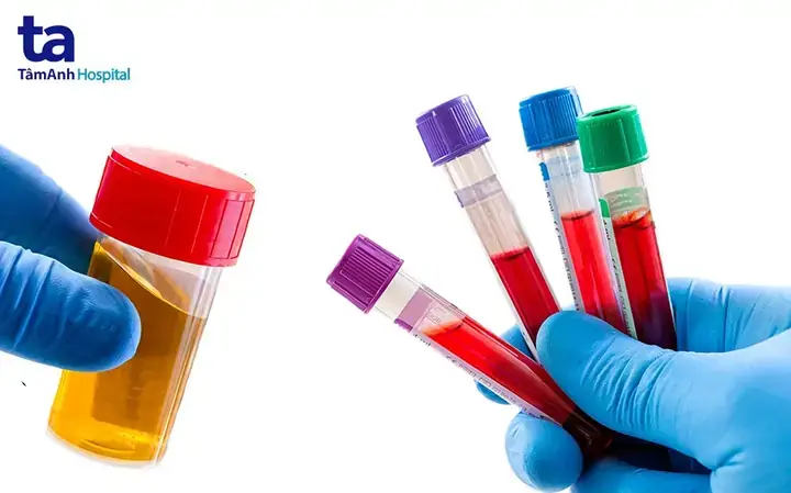 Giải Mã Giấc Mơ Thấy Người Đàn Ông Cho Tiền Đô: Điềm Báo Gì & Con Số May Mắn