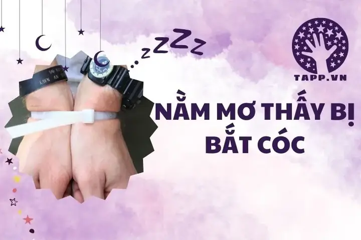 Nằm Mơ Thấy Người Khác Bị Bắt Cóc: Giải Mã Ý Nghĩa Và Những Điềm Báo Ẩn Sau