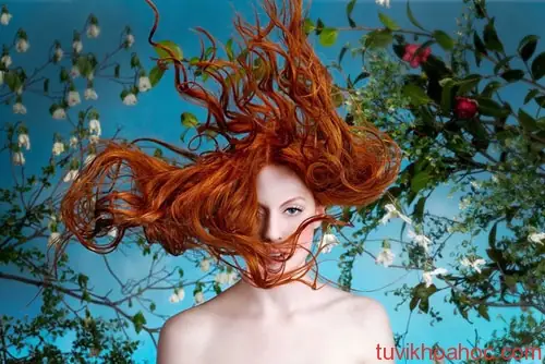 Giải Mã Ý Nghĩa Giấc Mơ Thấy Người Khác Cắt Tóc Mình: Điềm Báo Lành Dữ Và Con Số May Mắn