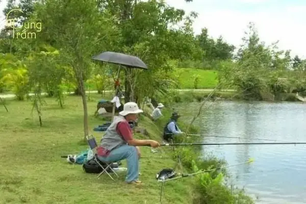 Giải Mã Giấc Mơ Thấy Người Khác Câu Cá: Điềm Báo Gì Và Con Số May Mắn