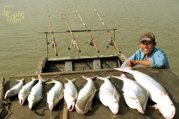 Giải Mã Giấc Mơ: Người Khác Câu Được Cá To Là Điềm Báo Gì Cho Tương Lai?