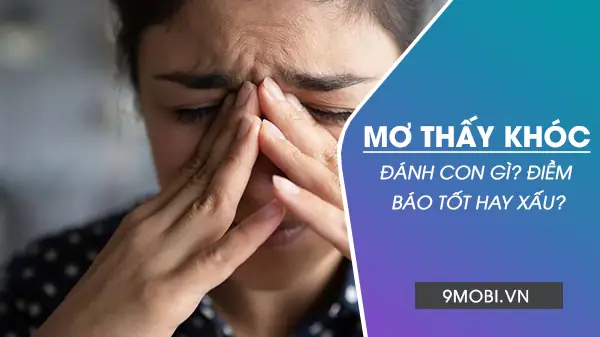 Giải Mã Ý Nghĩa Giấc Mơ Thấy Người Khác Khóc Và Các Con Số May Mắn Liên Quan