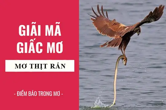 Giải Mã Giấc Mơ Thấy Người Khác Làm Thịt Rắn: Điềm Báo Gì Và Con Số May Mắn