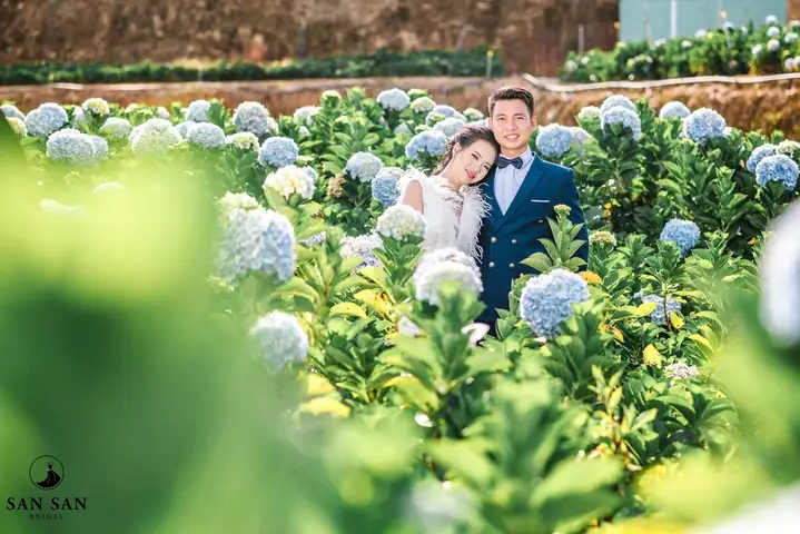 Nằm Mơ Thấy Người Khác Mặc Áo Cưới: Giải Mã Ý Nghĩa Đằng Sau Giấc Mơ