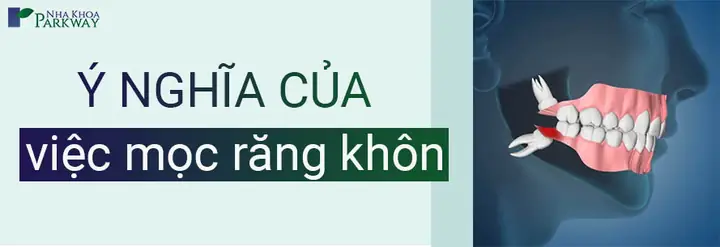 Giải Mã Chi Tiết Ý Nghĩa Giấc Mơ Thấy Người Khác Mọc Răng Và Những Con Số May Mắn