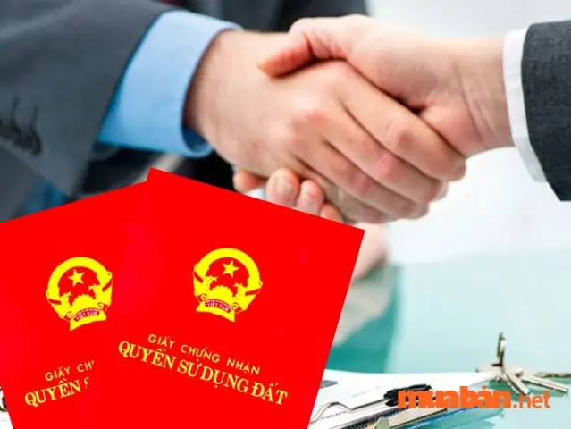 Giải Mã Chi Tiết Ý Nghĩa Giấc Mơ Thấy Người Khác Mua Đất Và Những Con Số May Mắn