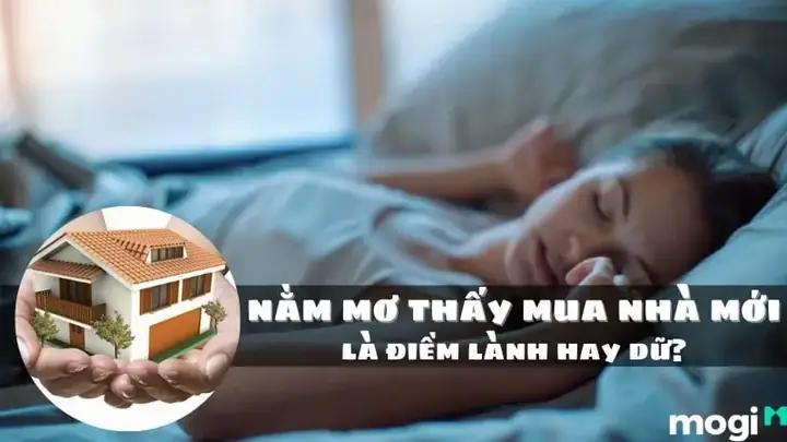 Giải Mã Nằm Mơ Thấy Người Khác Mua Nhà: Điềm Báo Gì & Con Số May Mắn
