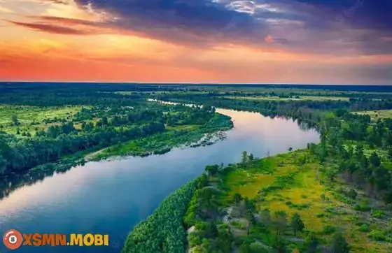 Giải Mã Giấc Mơ Thấy Người Khác Nhảy Sông: Điềm Báo Gì Và Cách Đối Mặt Tích Cực