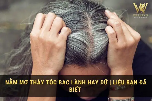 Nằm Mơ Thấy Người Khác Nhổ Tóc Bạc Cho Mình: Giải Mã Chi Tiết Từ Tâm Lý Đến Văn Hóa