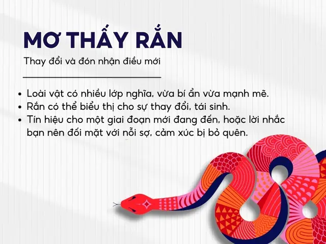 Giải Mã Giấc Mơ Thấy Người Khác Rơi Từ Trên Cao: Điềm Báo Hay Phản Ánh Tiềm Thức?