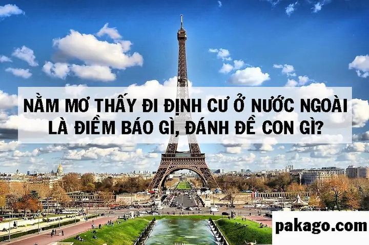 Nằm Mơ Thấy Người Nước Ngoài Đánh Con Gì? Giải Mã Ý Nghĩa & Con Số May Mắn