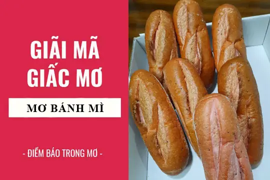 Giải Mã Ý Nghĩa Giấc Mơ: Người Khác Cho Bánh Mì Có Điềm Báo Gì?