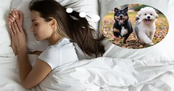 Giải Mã Ý Nghĩa Giấc Mơ Thấy Người Khác Cho Cơm: Điềm Lành Hay Dữ?