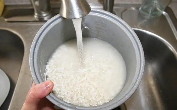 Giải Mã Ý Nghĩa Giấc Mơ Thấy Người Khác Cho Cơm: Điềm Lành Hay Dữ?