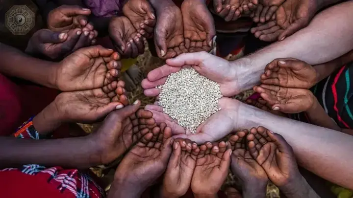 Giải Mã Giấc Mơ Thấy Người Khác Cho Đồ Ăn: Điềm Báo Gì Và Con Số May Mắn