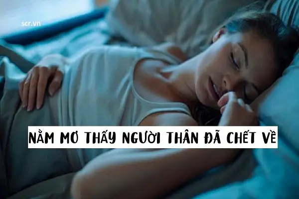 Giải Mã Bí Ẩn Nằm Mơ Thấy Người Thân Chết: Điềm Báo Hay Chỉ Là Giấc Mơ?