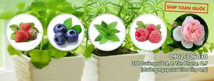 Nằm Mơ Thấy Nhà Người Khác Cháy Đánh Con Gì? Giải Mã Chi Tiết Ý Nghĩa Và Con Số May Mắn