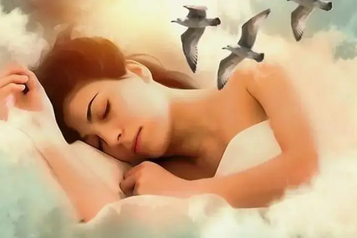 Giải Mã Chi Tiết Giấc Mơ Thấy Nhà Người Khác Sập: Điềm Báo Gì Và Con Số May Mắn