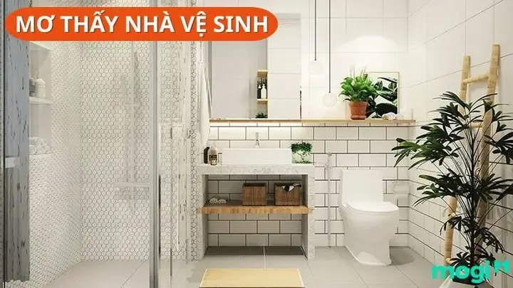 Giải Mã Giấc Mơ Thấy Nhà Vệ Sinh Bẩn: Điềm Báo Gì Và Con Số May Mắn