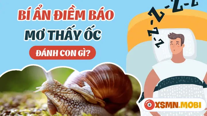 Nằm Mơ Thấy Nhiều Ốc Đánh Đề Con Gì? Giải Mã Bí Ẩn Đằng Sau Giấc Mơ