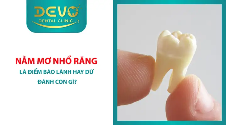 Nằm Mơ Thấy Nhổ Răng Cho Con Trải: Giải Mã Ý Nghĩa Và Những Điềm Báo Đặc Biệt