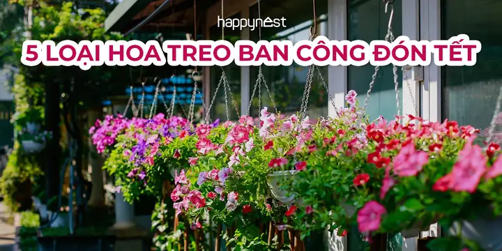 Giải Mã Giấc Mơ: Nằm Mơ Thấy Nói Chuyện Với Người Thân Đã Khuất Có Ý Nghĩa Gì?