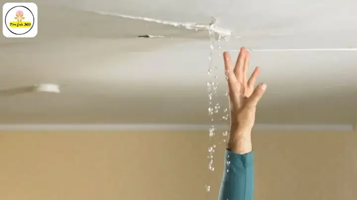 Giải Mã Giấc Mơ Thấy Nước Chảy Trong Nhà: Điềm Lành Hay Dữ?