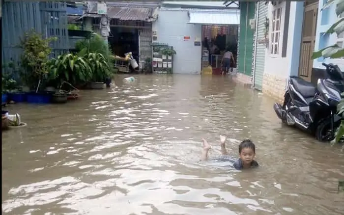 Nằm Mơ Thấy Nước Ngập Đường Đánh Con Gì: Giải Mã Chi Tiết Và Những Con Số May Mắn