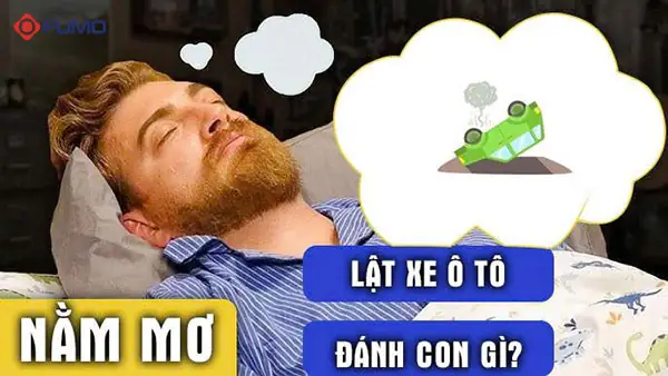 Nằm Mơ Thấy Ô Tô Bị Lật Đánh Con Gì? Giải Mã Chi Tiết Và Con Số May Mắn