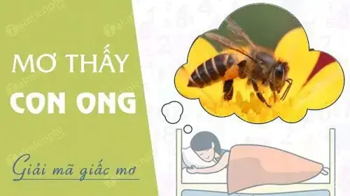Giải Mã Giấc Mơ Thấy Ong: Điềm Báo Gì Và Con Số May Mắn Liên Quan