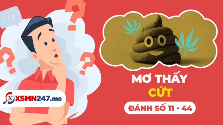 Giải Mã Giấc Mơ Thấy Phân Chó: Điềm Báo Và Con Số May Mắn