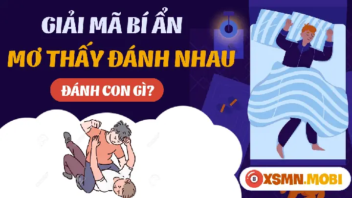 Giải Mã Giấc Mơ Thấy Phụ Nữ Đánh Nhau: Điềm Báo Và Con Số May Mắn
