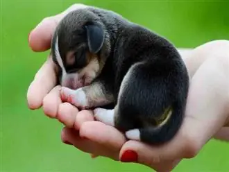 Giải Mã Giấc Mơ Thấy Quan Tài: Chi Tiết Điềm Báo Lành Hay Dữ?