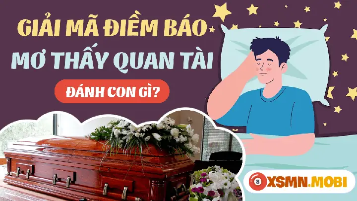 Giải Mã Ý Nghĩa Nằm Mơ Thấy Quan Tài Màu Vàng: Điềm Báo Gì Và Con Số May Mắn