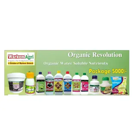 Nằm Mơ Thấy Quỷ Đánh Con Gì? Giải Mã Chi Tiết Từ Tâm Linh Đến Khoa Học