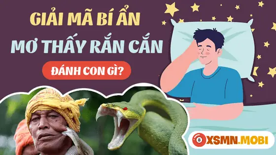 Giải Mã Giấc Mơ Thấy Rắn Cắn: Điềm Báo Gì Và Các Con Số May Mắn